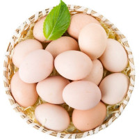 禽宝 农家土鸡蛋40枚 新鲜草鸡蛋鸡蛋笨鸡蛋