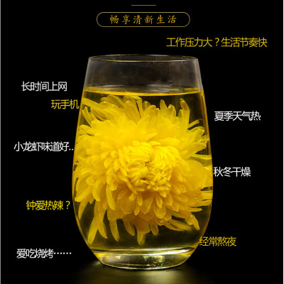 采林间 菊花茶 金丝皇菊散装100g约260朵