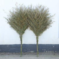 一颗枣树 室外竹子大扫把|总长190cm 扫帚头部宽90cm