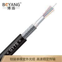 博扬(BOYANG)BY-GYTS-12B1铠装12芯单模室外光缆GYTS层绞式架空/管道网线光纤线100米可定制长度