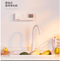 大宇(DAEWOO)QX3家用壁挂式全自动洗菜机果蔬卫士清洗机肉类水果食材海鲜净化机白色
