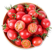 企购优品千禧圣女果 小西红柿 樱桃番茄 净重500g装 生鲜水果