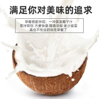 企购优品椰子味粉 营养早餐速溶椰奶粉 商用大袋装椰汁粉 冲泡代餐椰汁1kg/包