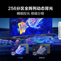 海信电视98E7G-PRO98英寸4K超清ULED256分区130%色域144H游戏智慧屏液晶智能平板电视(包支架安装)