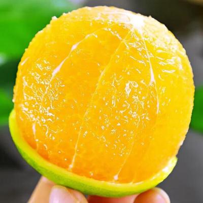 橙子3斤香橙甜橙手剥橙肉厚多汁 应季产地直发