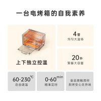 小熊(Bear)电烤箱多功能家用迷你小型独立控温20L烘烤蛋糕烤炉烤箱DKX-C20M3