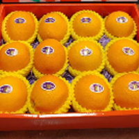 橙心果匠 甜脐橙礼盒装6斤净果 6斤/箱