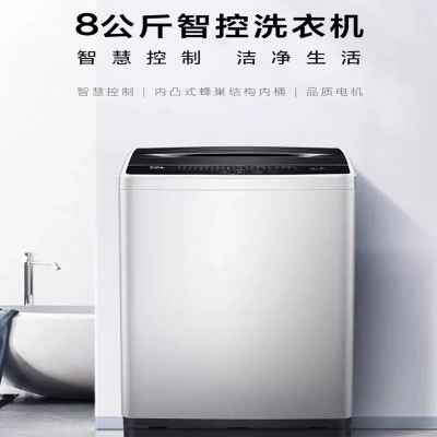 TCL 8公斤 B80L100 大容量波轮洗衣机全自动