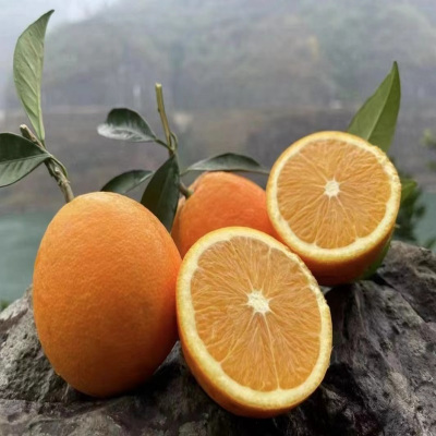 雷波脐橙9斤装细甜化渣大凉山优质脐橙