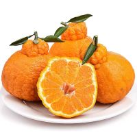 不知火丑橘现摘现发应季水果3-5月销售