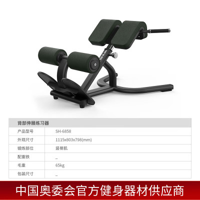 罗马椅 自由力量训练健身房辅助训练器