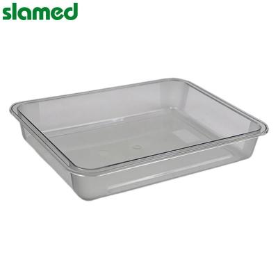 SLAMED 中号透明塑料托盘 SD7-110-104