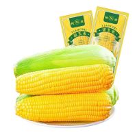 水果甜玉米 6支装 280g/支 开袋即食水果玉米真空包装