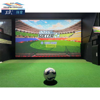 卫氏体育用品数字足球室内足球场地足球模拟