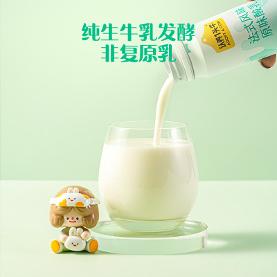 认养一头牛高端法式风味酸奶230g*10瓶 经典原味酸牛奶 一提装