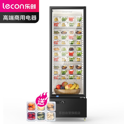 乐创(lecon)水果蔬菜保鲜柜 食品留样柜 饭堂后厨幼儿园食堂用冷藏柜 LC-ZSG230