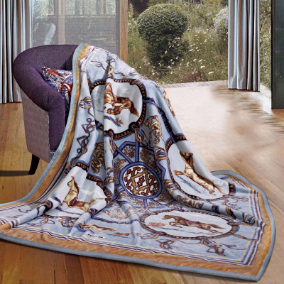 富安娜(FUANNA)家居用品毛毯双人毯子多功能法兰绒毯 单层舒柔毯\汉诺威1.8*2m