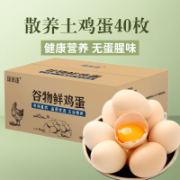 绿田逐农家散养土鸡蛋40枚 谷物鲜鸡蛋 新鲜营养 健康轻食 /2kg