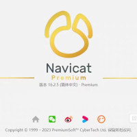 Navicat for mysQL 企业版 永久许可