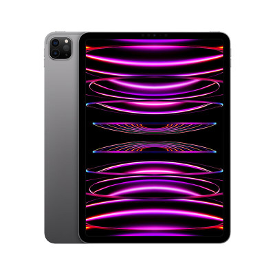Apple iPad Pro 11英寸平板电脑 2022年款 深空灰色