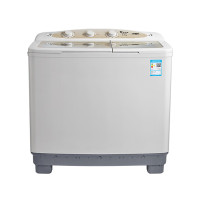 小天鹅(LittleSwan)洗衣机半自动 双桶双缸 9公斤家用大容量 品质电机 TP90-S968(专)