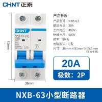 正泰(CHNT)小型断路器昆仑微型家用保护器NXB-63 2P 20A 10个装