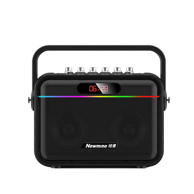 纽曼(Newmine) 蓝牙音箱 音响户外便携式无线 K112声卡特效版(双话筒+遥控器)