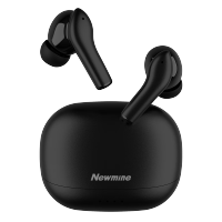 纽曼(Newmine) 真无线蓝牙耳机 TWS双麦降噪 蓝牙5.3 LY09 黑色