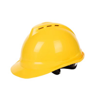 DINTHIN 鼎晟 FL-AN15 安全帽 配近电警报器(单位:顶)