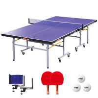 红双喜(DHS) 乒乓球桌室内乒乓球台单折式训练比赛用乒乓球案子DXBC007-1(T2023)