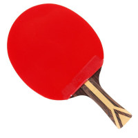 红双喜(DHS) 乒乓球拍4双面反胶纯木成品拍训练狂飙礼盒 H9006直拍横拍