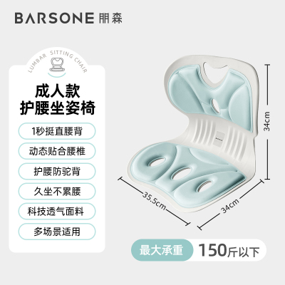 朋森(BARSONE) 成人款护腰矫姿坐垫BS-Z1 云水蓝
