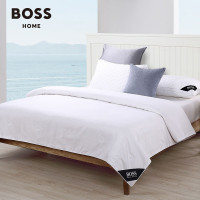 BOSS HUGO BOSS 压花LOGO桑蚕丝被HBCS-007 2030*2300mm(发顺丰)