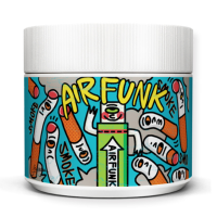 air funk(椰放)AF除甲醛空气净化剂 绿箭版350g