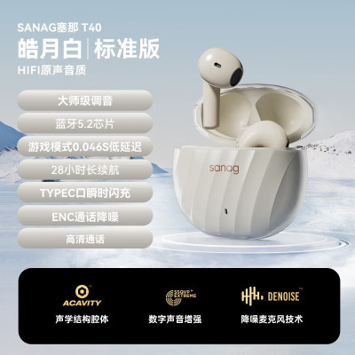 sanag 塞那蓝牙耳机无线半入耳式 T40S 旗舰版-皓月白 HIFI杜比高保真