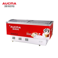 澳柯玛(AUCMA)卧式冷柜 SD-532