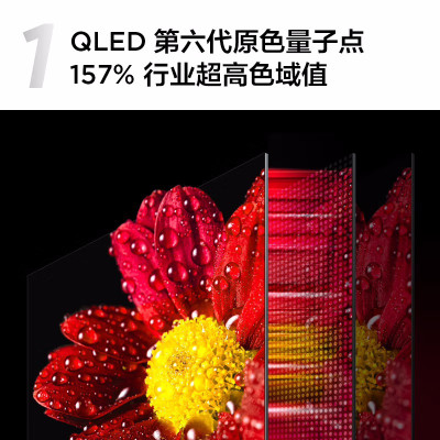 TCL电视 65T8E Max 65英寸 QLED量子点 120Hz MEMC 4+64G 平板电视机(政企)