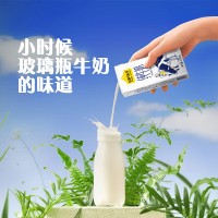 认养一头牛3.6g优质乳蛋白 高品质3.6g纯牛奶250ml*12盒