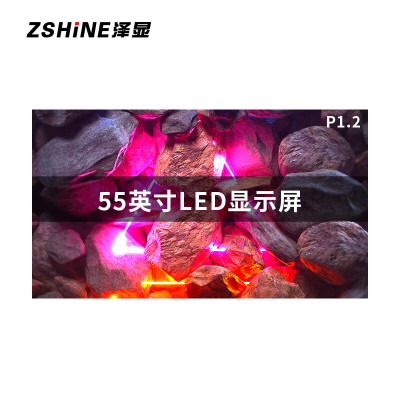 泽显/Zshine LC-P1.2EEX 全彩色显示屏 室内 55英寸显示屏