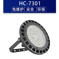 百湖 HC-7301-50w_TGZJ 三腔防爆LED灯 黑色 Ex IIC T6