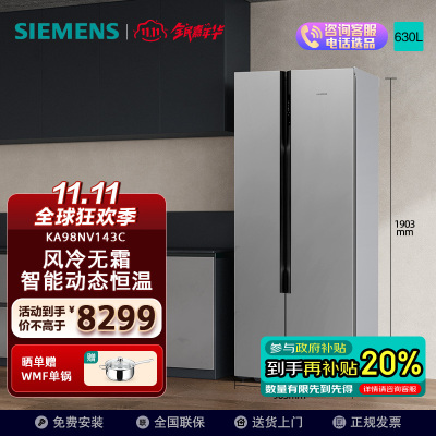 西门子(SIEMENS)630升 精控恒鲜对开门冰箱 智能动态恒温 独立双循环 风冷无霜 速冷速冻 KA98NV143C