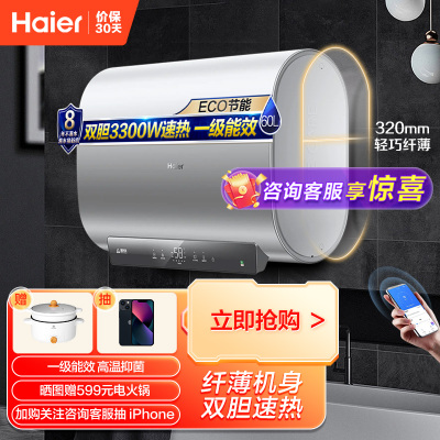 海尔(Haier)60升电热水器 双胆速热 纤薄机身 3300W速热 一级能效 ES60HD-S501银U1