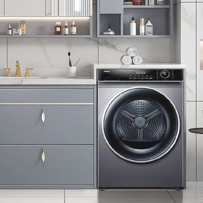 海尔(Haier)HBNS100-FQ176U1 10公斤滚筒式热泵烘干机(台)玉墨银