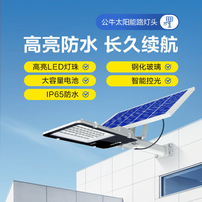 公牛MG-C300B-AE太阳能路灯头(1只/箱)65K,300W