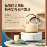 扬子 HLY-01 电陶炉