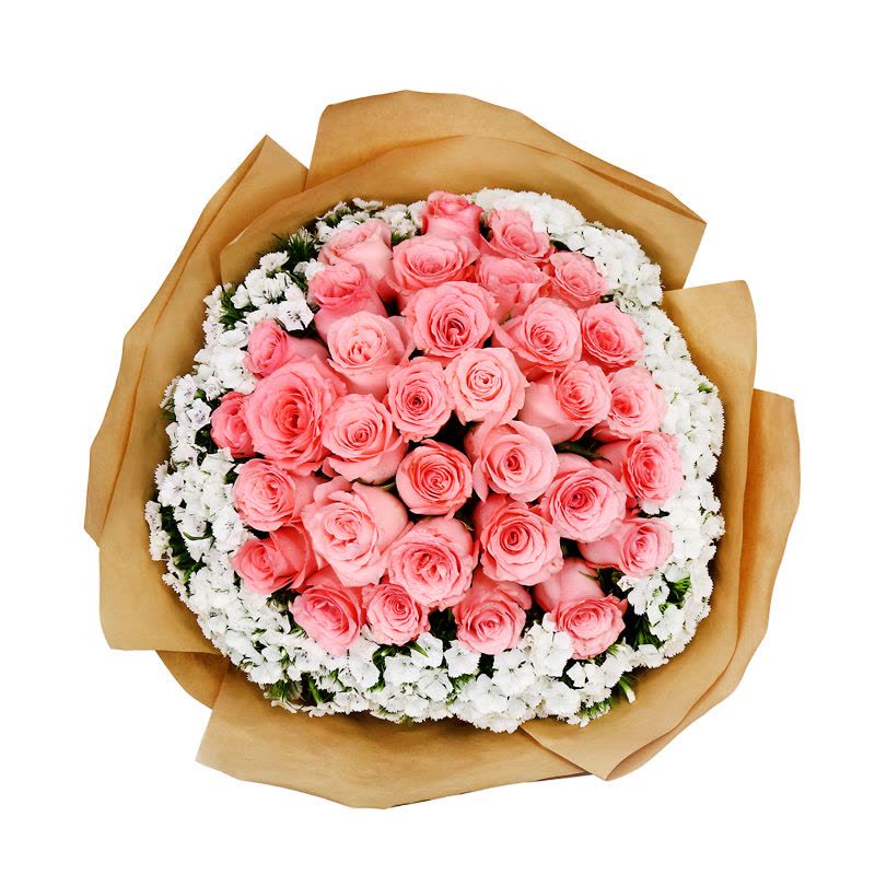 春舞枝 33朵粉玫瑰花束全国同城送花北京上海杭州送女友生日礼物鲜花速递图片