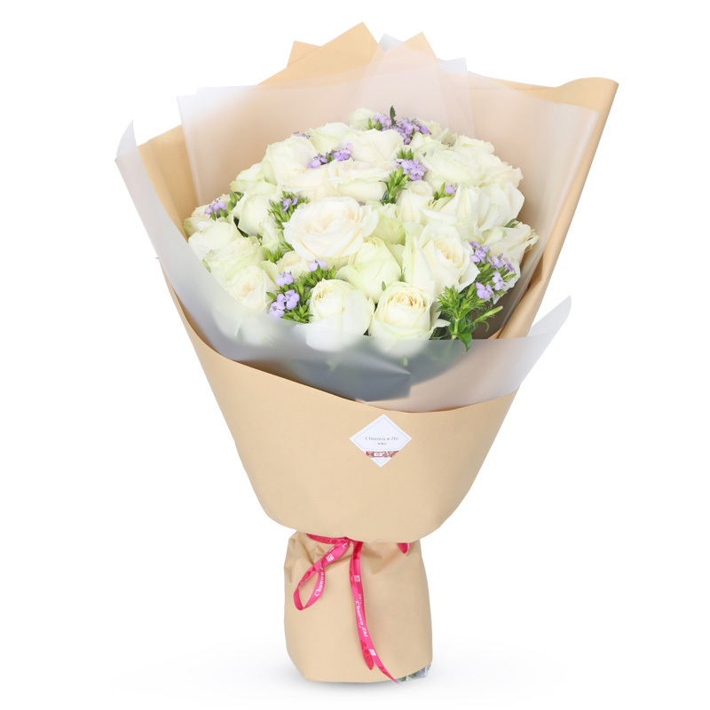 春舞枝 33朵白玫瑰花束全国同城送花北京上海杭州表白鲜花速递