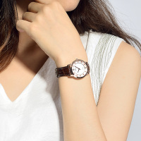 天王表(TIANWANG)国产品牌石英表 女士皮带款情侣时尚表休闲系列正品手表LS3803