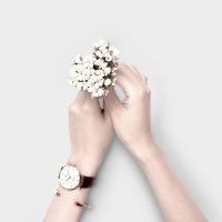 天王(TIANWANG)国产品牌女士手表防水皮带表时尚潮流石英表 女士手表简约学生套装3851