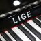 里歌LIGE黑色亮光弯腿立式钢琴LG-122